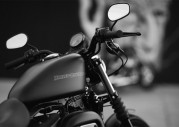 Harley-Davidson XL 883N Iron 883